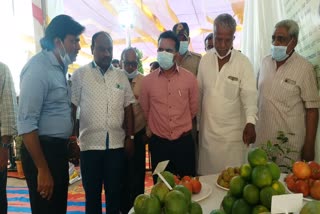 Exhibition of Fruits in Koppal