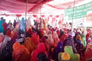 womans day celebrated palwal