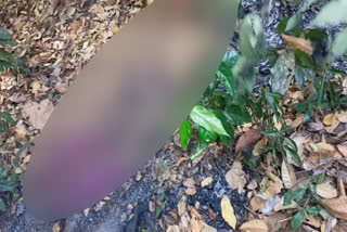 woman's body found burnt near the Neryamangalam bridge  woman's body found in idukki  സ്ത്രീയുടെ മൃതദേഹം കത്തിക്കരിഞ്ഞ നിലയില്‍ കണ്ടെത്തി