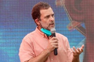 Had Scindia remained in Congress he would have become CM, but now a BJP 'backbencher': Rahul