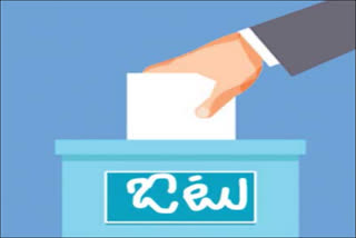 municipal elections