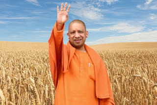 Yogi government