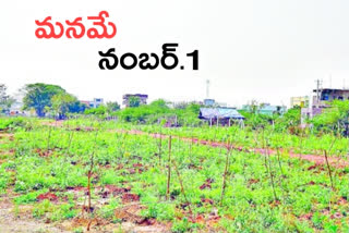 The state of Telangana ranks first in the country in plant breeding and afforestation.