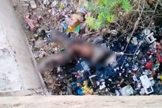 udaipur news, half burn dead body found