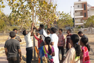 Water for Birds from muddebihal jangama vedike