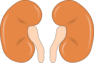 know to avoid kidney disease on World Kidney Day