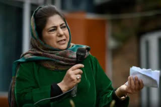 Mehbooba Mufti's passport issue