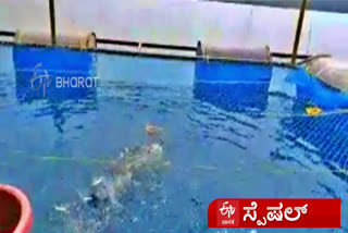 cage-fish-farming-in-mangaluru