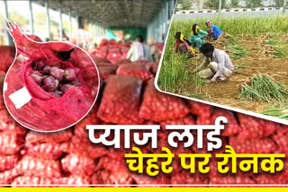 onion price in sikar,  onion price in rajasthan