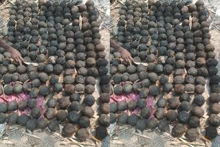 Around 200 crude bombs from Bhangar