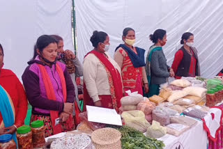 Sirmour Food Festival News, सिरमौर फूड फेस्टिवल न्यूज