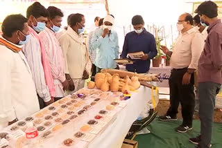 Biodiversity Conservation at Dr. Konda Lakshman Bapuji Horticultural Varsity in Adilabad