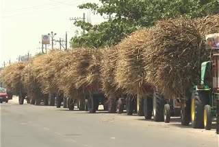 ಮೇವು ದಾನ