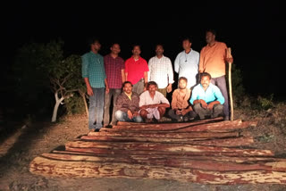 Kurnool police arrest red sandalwood smugglers