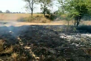 चने की फसल में लगी आग, Fire in gram crop in sangod