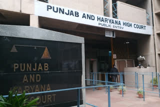 two judges of punjab and haryana high court found corona positive