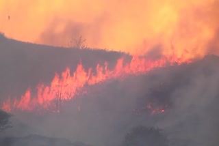 Forest fire in sengalnatham