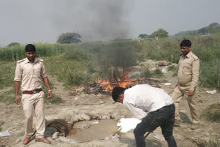 85 liter liquor recovered in raid in Gopalganj