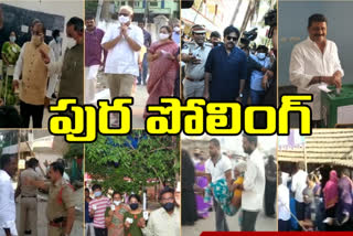 ap municipal elections