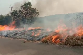 fire to alasandi crop at gadag