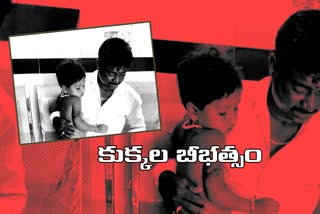 street-dogs-bites-two-kids-at-jukkal-in-kamareddy-district