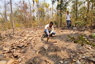 Snake drinks water from bottle in Chattisgarh