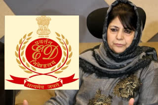 Notice issued to ED against summons issued against Mehbooba Mufti