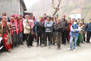 NHPC kullu