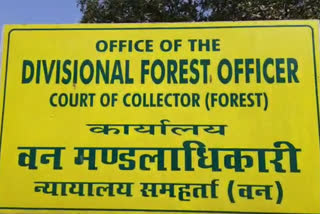 Preparations of the Forest Department