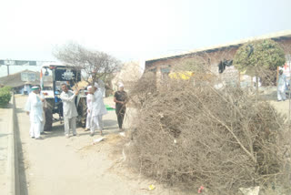 farmers preparing for holi on dhansa border in delhi
