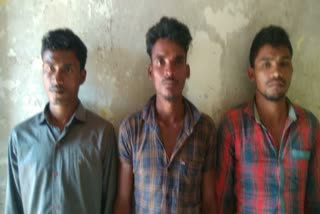 Seven Maoists held in Chhattisgarh