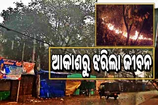 ଶିମିଳିପାଳକୁ ସାମାନ୍ୟ ଆଶ୍ବସ୍ତି, ଜିଲ୍ଲାରେ କିଛି ସ୍ଥାନରେ ବର୍ଷା