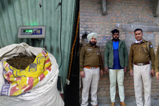 hashish recovered in kangra