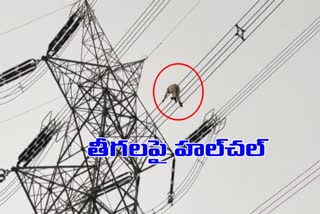 a-person-climb-on-power-station-and-walk-on-wires-at-naraguda-in-rangareddy