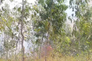 fire in the nursery in Shahdol