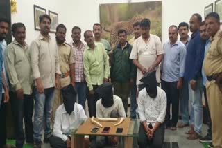 three-arrested-for-ivory-smuggling-in-kolhapur