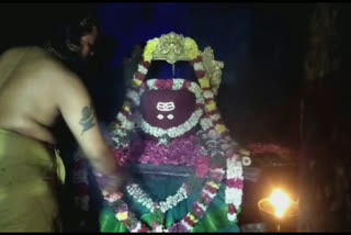 Shivaratri celebrations were held at the Pillalamarri temples in Suryapeta district