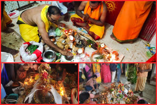 mahashivarathri celebrations