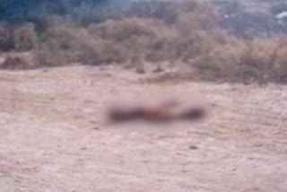 Udaipur news, Dead body found