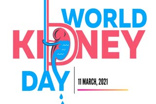 Kidney, Health, World Kidney Day