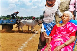 spectators injured during bullock cart race