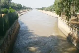 Jaisalmer Indira Gandhi Canal, जैसलमेर हिंदी न्यूज