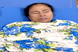 MAMATA requests everybody to maintain peace