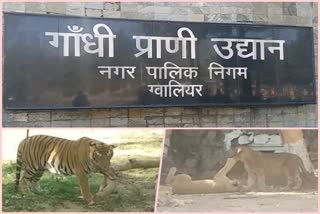 Gandhi Zoological Park