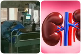 kidney Day