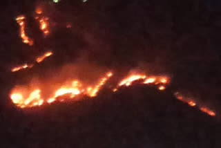 श्रीनगर जंगल में लगी आग