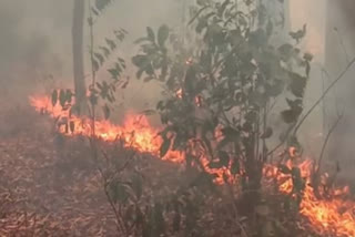 Simlipal park fire  Odisha forest fire  forest fire  Odisha government on forest fire  ಸಿಮ್ಲಿಪಾಲ್ ರಾಷ್ಟ್ರೀಯ ಉದ್ಯಾನವನ  ಸಿಮ್ಲಿಪಾಲ್ ರಾಷ್ಟ್ರೀಯ ಉದ್ಯಾನವನಕ್ಕೆ ಬೆಂಕಿ  ಸಿಮ್ಲಿಪಾಲ್ ರಾಷ್ಟ್ರೀಯ ಉದ್ಯಾನವನದ ಬೆಂಕಿ ನಿಯಂತ್ರಣ  ಒಡಿಶಾ ಸರ್ಕಾರ  ಒಡಿಶಾ ಸರ್ಕಾರ ಸುದ್ದಿ