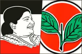 will ammk contestant will affect admk victory