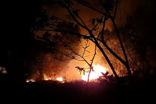 Simlipal park fire,  Odisha forest fire,  forest fire,  Odisha government on forest fire,  Simlipal park fire under control, rainfall helped: Official  Simlipal park,  ഒഡീഷ, സിംലിപാൽ, ദേശീയ ഉദ്യാനത്തിലെ തീ നിയന്ത്രണവിധേയം; ആശ്വാസമായത് മഴ,  ഒഡീഷ സിംലിപാൽ, ദേശീയ ഉദ്യാനത്തിലെ തീ നിയന്ത്രണവിധേയം,  ആശ്വാസമായത് മഴ,  സിംലിപാൽ, ദേശീയ ഉദ്യാനം,  കാട്ടുതീ  ,