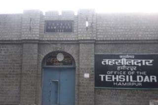 tehsildar office hamirpur